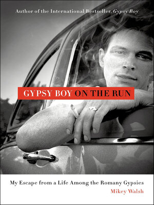cover image of Gypsy Boy on the Run